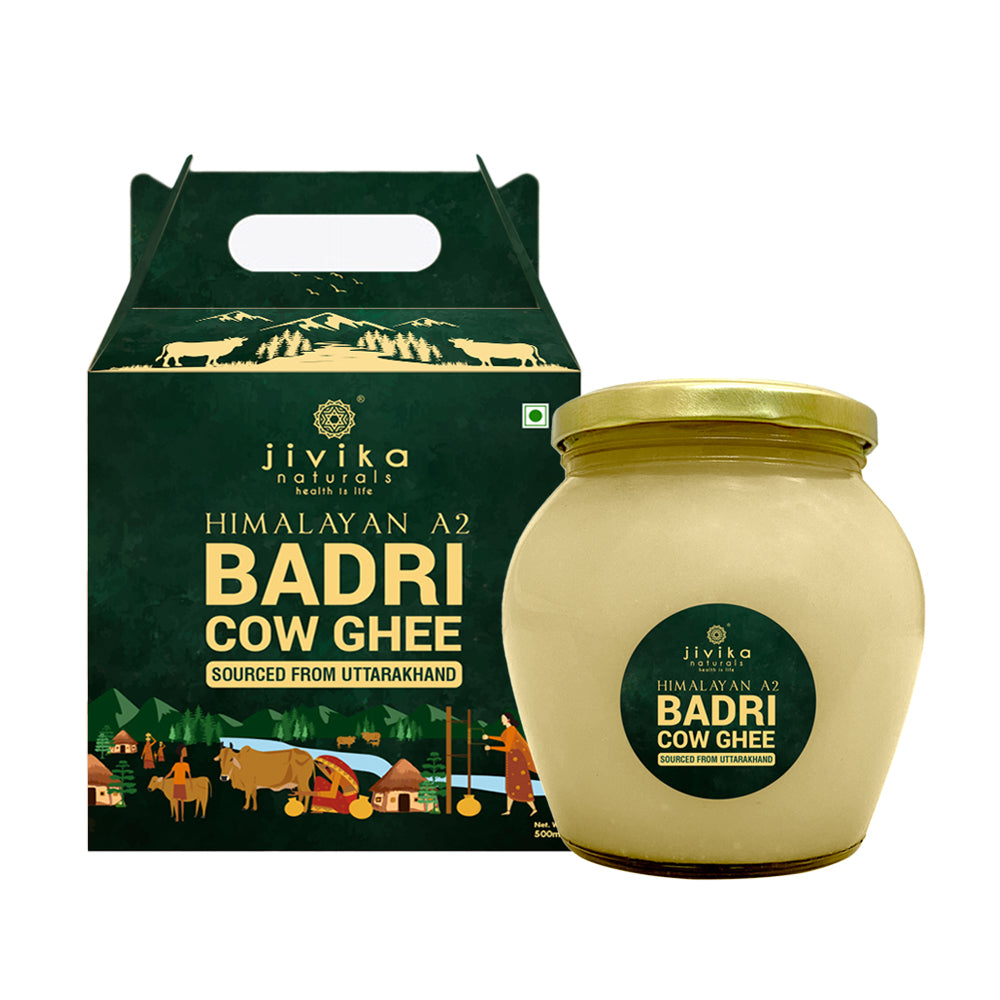 JIVIKA NATURALS® Premium A2 Badri Cow Ghee 500ml | Vedic Bilona Ghee from Uttarakhand | Hand Churned from Whole Curds | A2 Milk from Grass Fed Badri Cow | Pure and Authentic | (Glass Bottle 0.5 Litre)