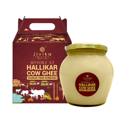 JIVIKA NATURALS® Premium A2 Hallikar Cow Ghee 500ml | Vedic Bilona Ghee from Karnataka | Hand Churned from Whole Curds | A2 Milk from Grass Fed Hallikar Cow | Pure and Authentic | (Glass Bottle 0.5 Litre)